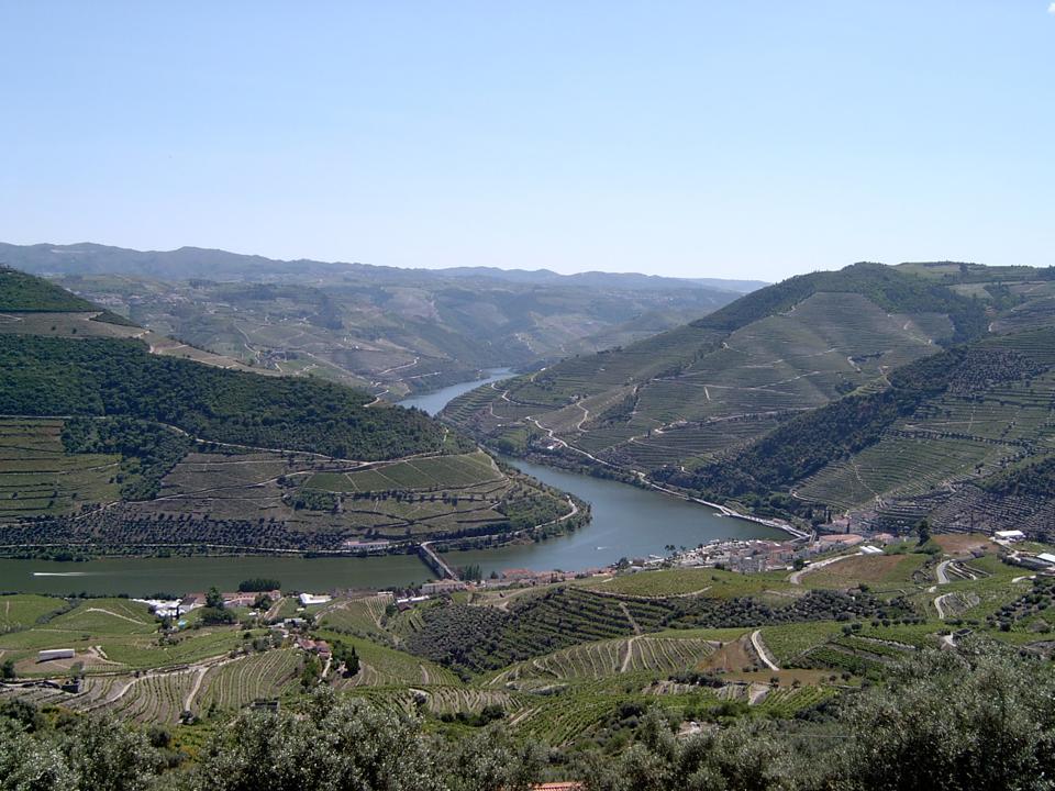 The vineyards of the Douro Valley rise up from the river in northern Portugal