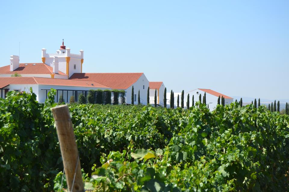 Torre de Palma hotel in the Alentejo, Portugal, is surrounded by vineyards