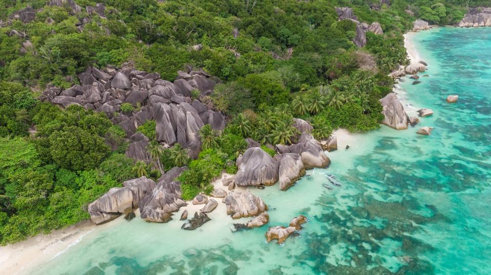 Rocks, green palm trees and blue ocean water.