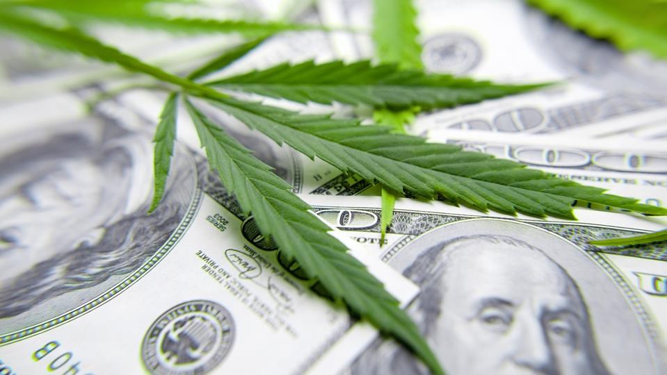 Cannabis leaf on Dollar bill, green leaf of marijuana. Money and hemp. The concept of legalization of the drug business, CBD oil