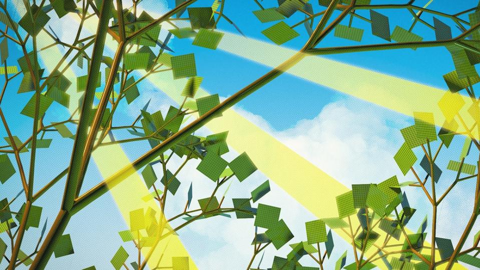 If humans designed plants, they’d be black, and they would completely transform our world.