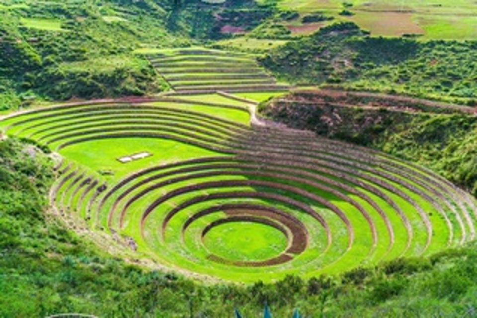 Concentric circles of green, the insider circles at lower elevation than the outer rings.