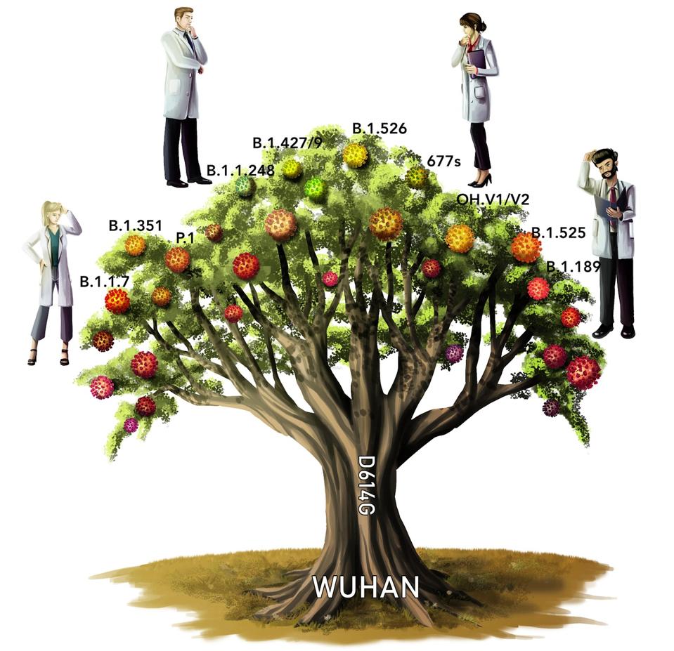 An illustration of a “variant tree.”