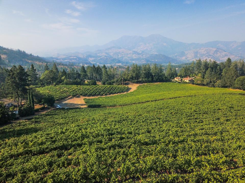 Penfolds' Napa Valley Diamond Mountain Vineyard