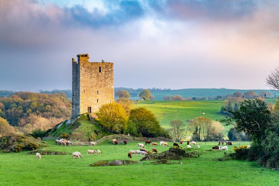 Carrigaphooca Castle photographed from the north east in the evening