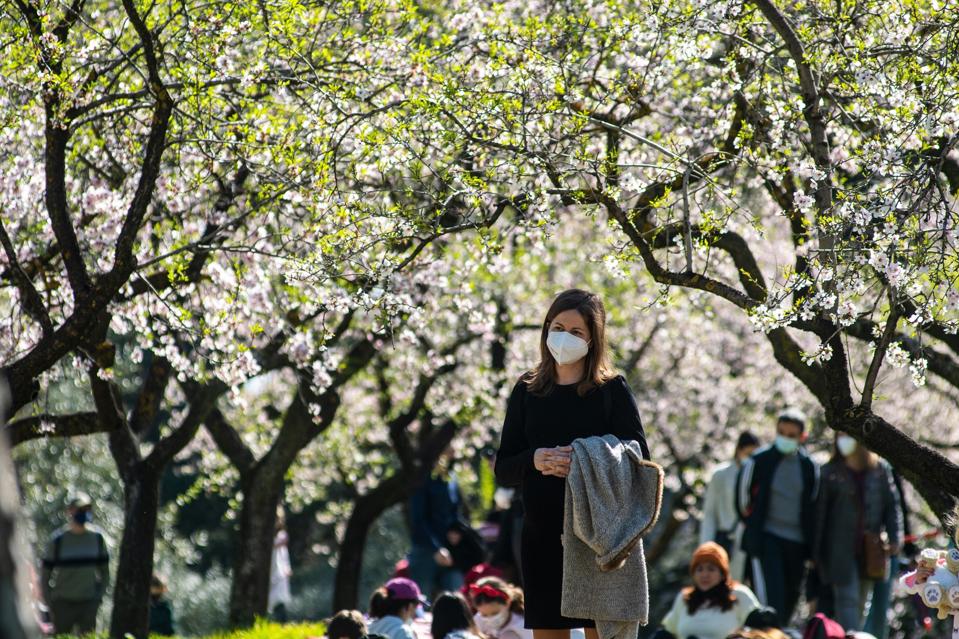 Spring blossom in Madrid as Europe struggles to cope with the third wave involving the B.1.1.7 variant of Covid-19