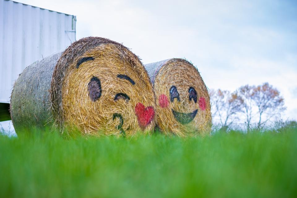 This Is Why Hay Bales Are Round