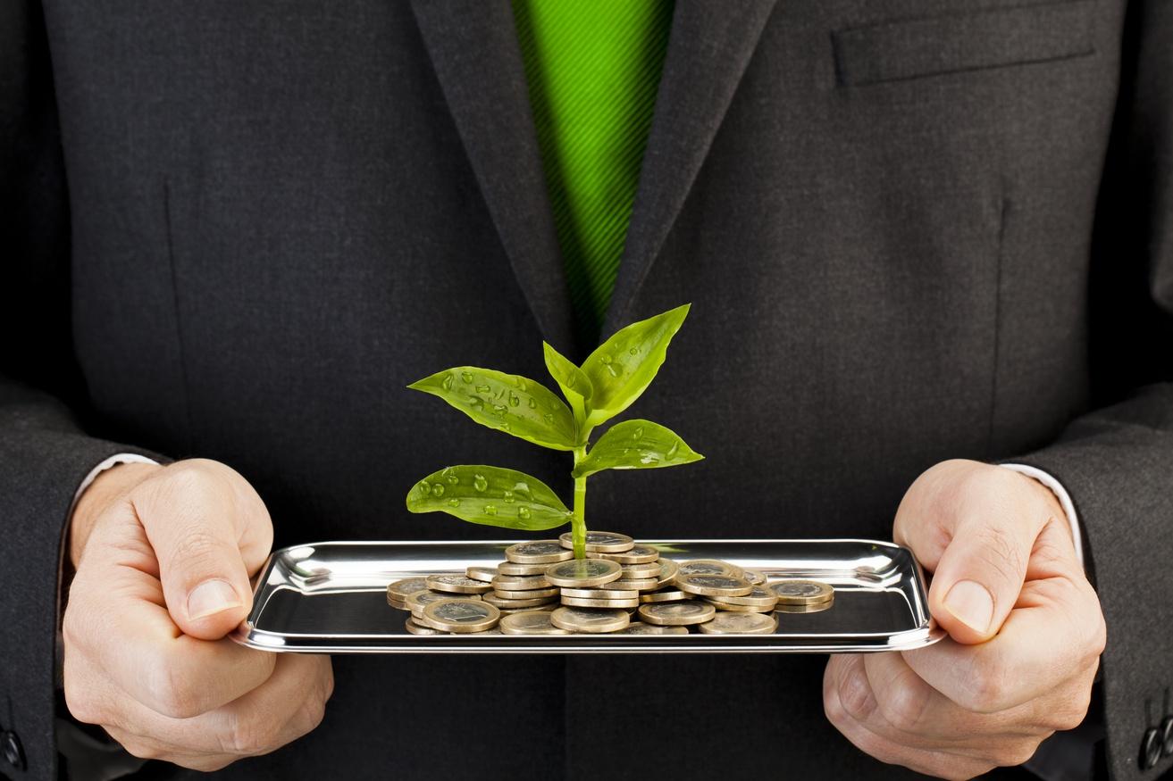 Imagining The Future Of ESG – Investing Is Just The Beginning For The Values-Based Economy - Vimarsana News