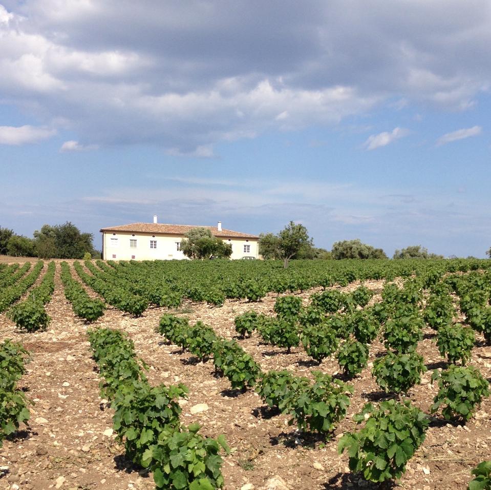 Le domaine en Sicile.