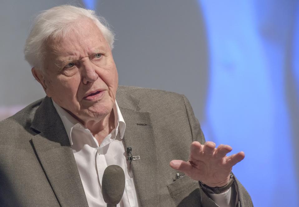 Sir David Attenborough addresses the U.K. Climate Assembly in 2020.