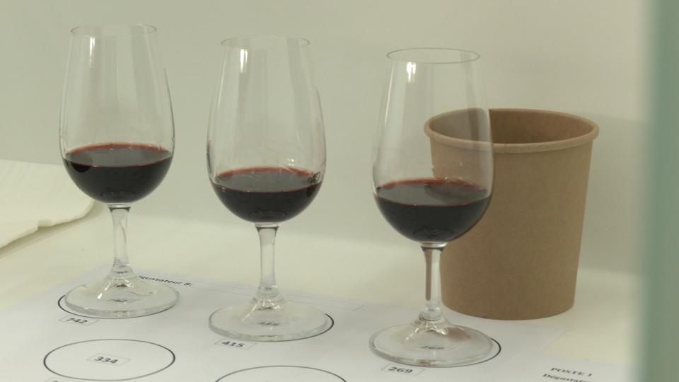 Wine aged in space seemed to change in color, with experts noting ″light brick″ hues.