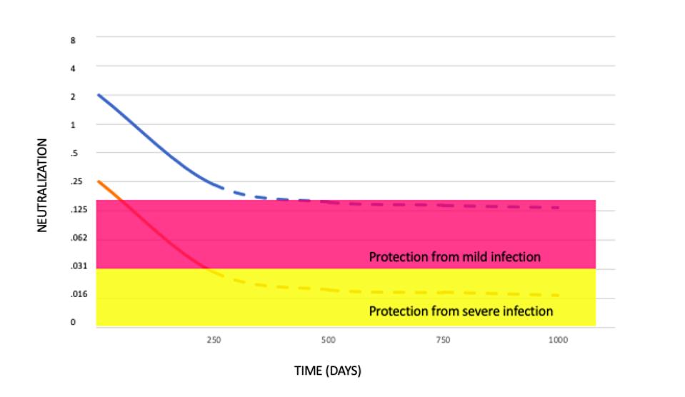 Figure 4. Extrapolating the decay of neutralisation titres over time.