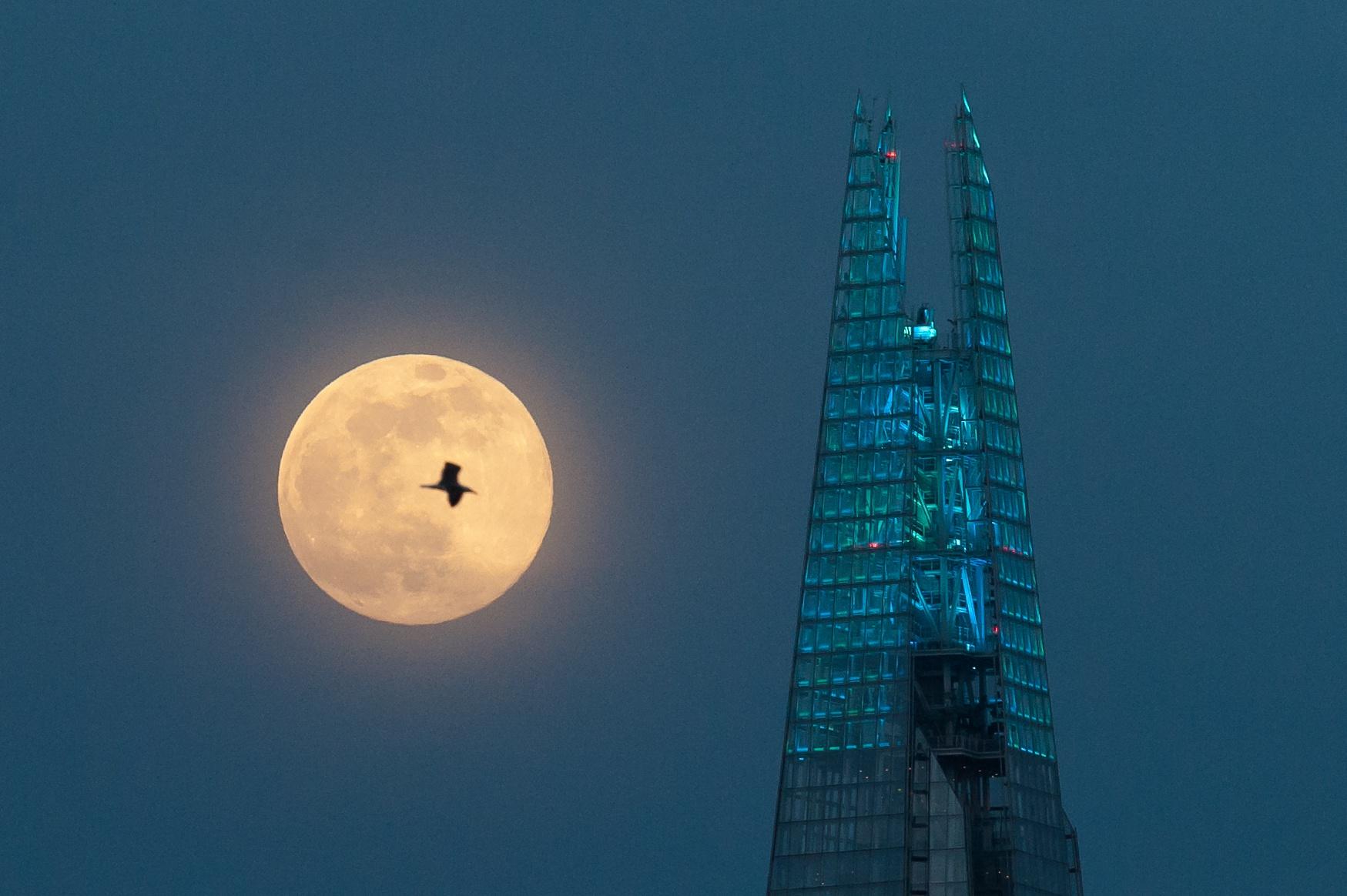 Are Supermoons Dangerous? Why This Week's 'Super Pink Moon' Might Cause You Problems - Vimarsana News