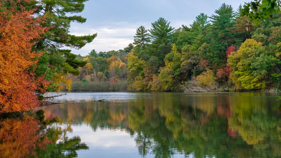 Wisconsin Natural Features Immerse Yourself In The Beauty Of Wisconsin With These Pristine Nature ...