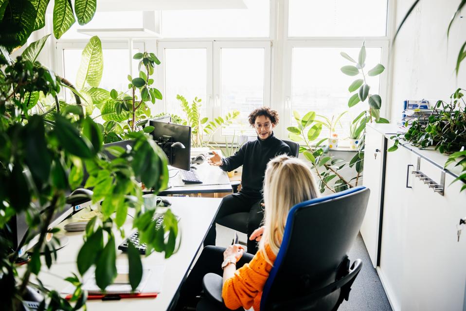 Two colleagues discussing work at their desk surrounded by plants and windows.