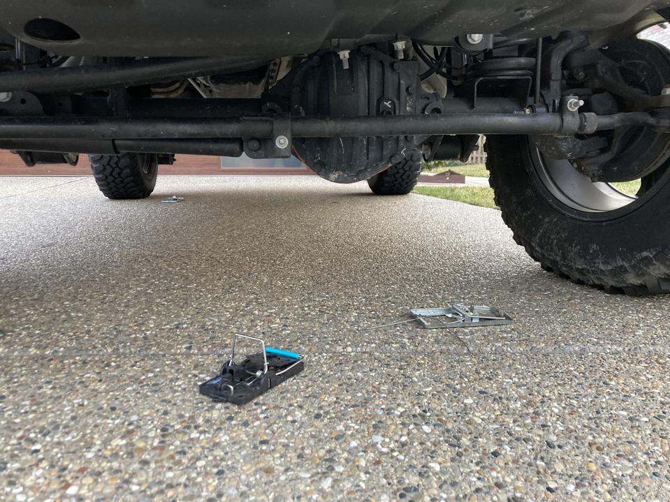 Mousetraps placed below a parked car