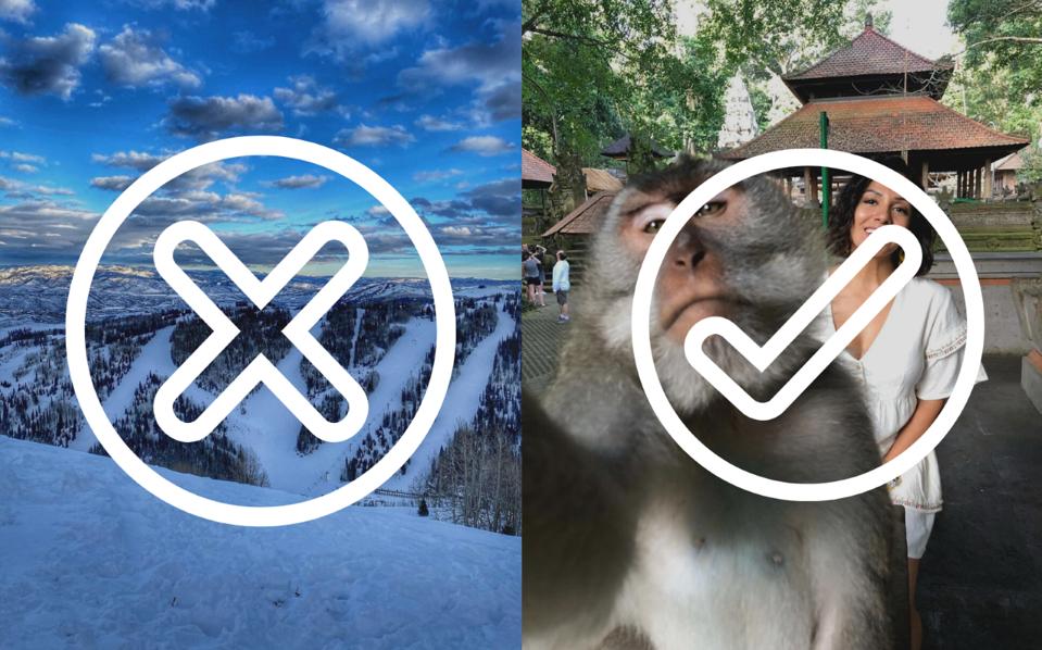 Strange over stock attracts more attention