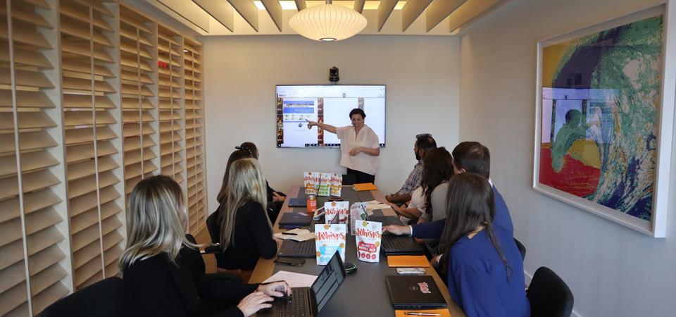 Ilana Fischer presenting to the Whisps team on their next product line.