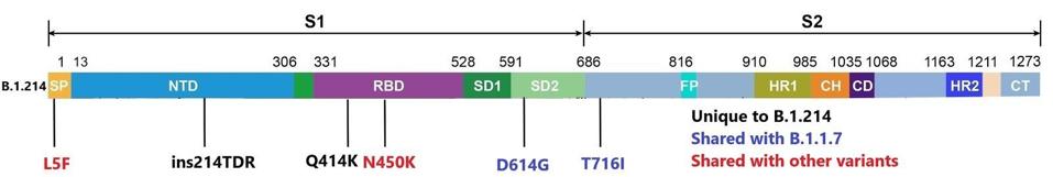 Mutations to the B.1.214 spike protein