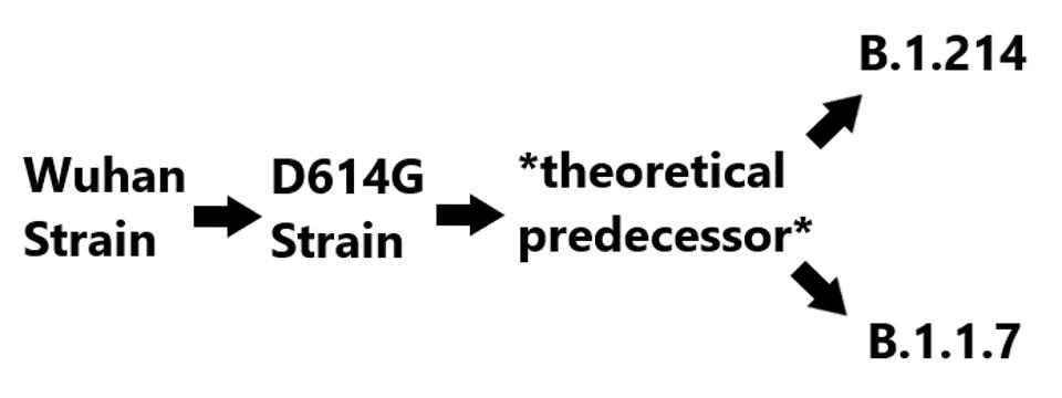 Proposed B.1.214 lineage