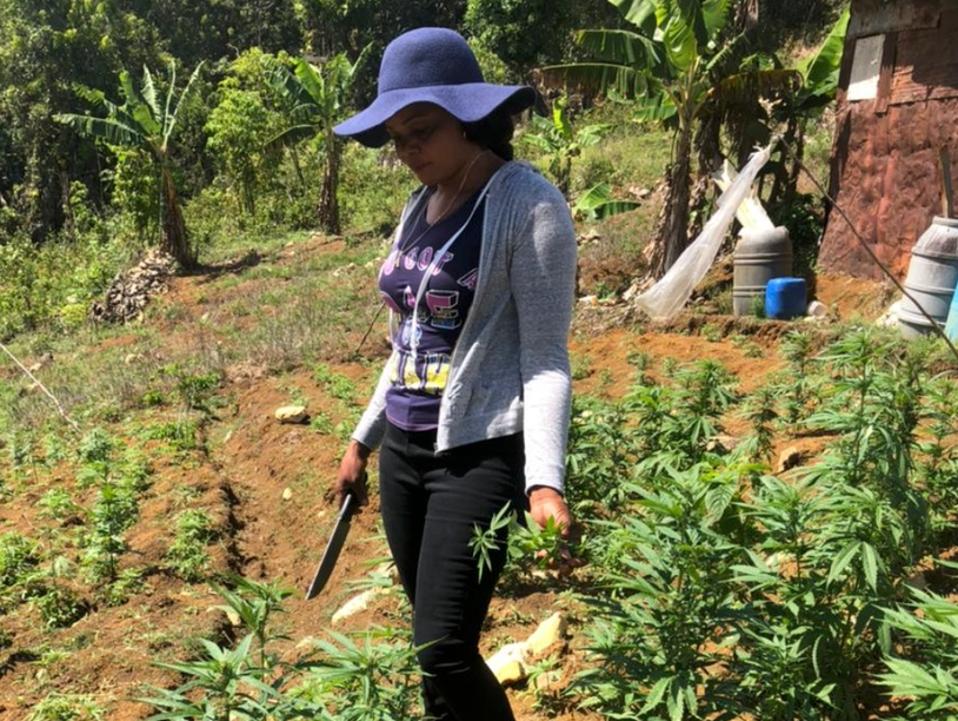 Accompong women farmers