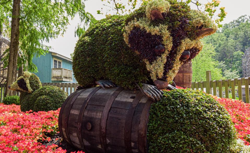 Close up of raccoons made from plants and flowers in a garden at Dollywood.
