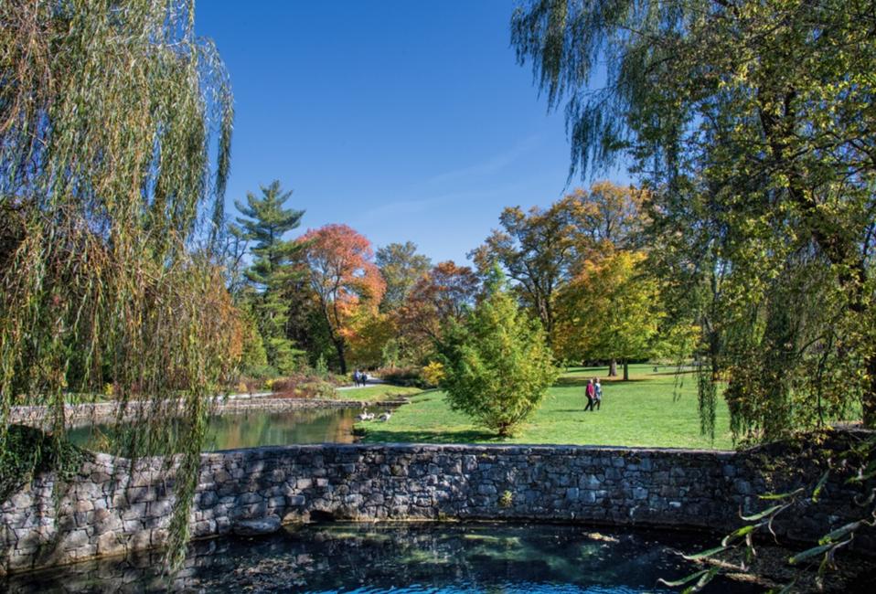 Wide shot of a spring-fed pond at Burnie Gardens, Winchester, Virginia