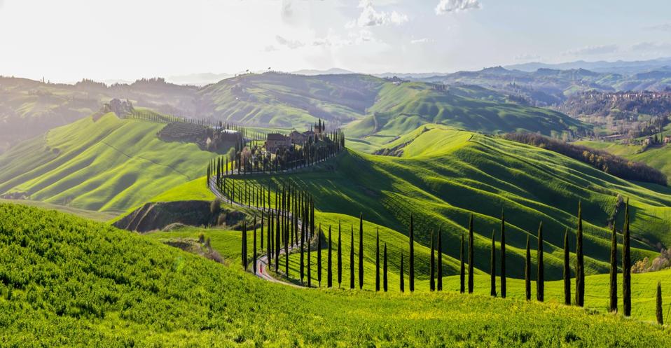A road in the Crete Senesi.