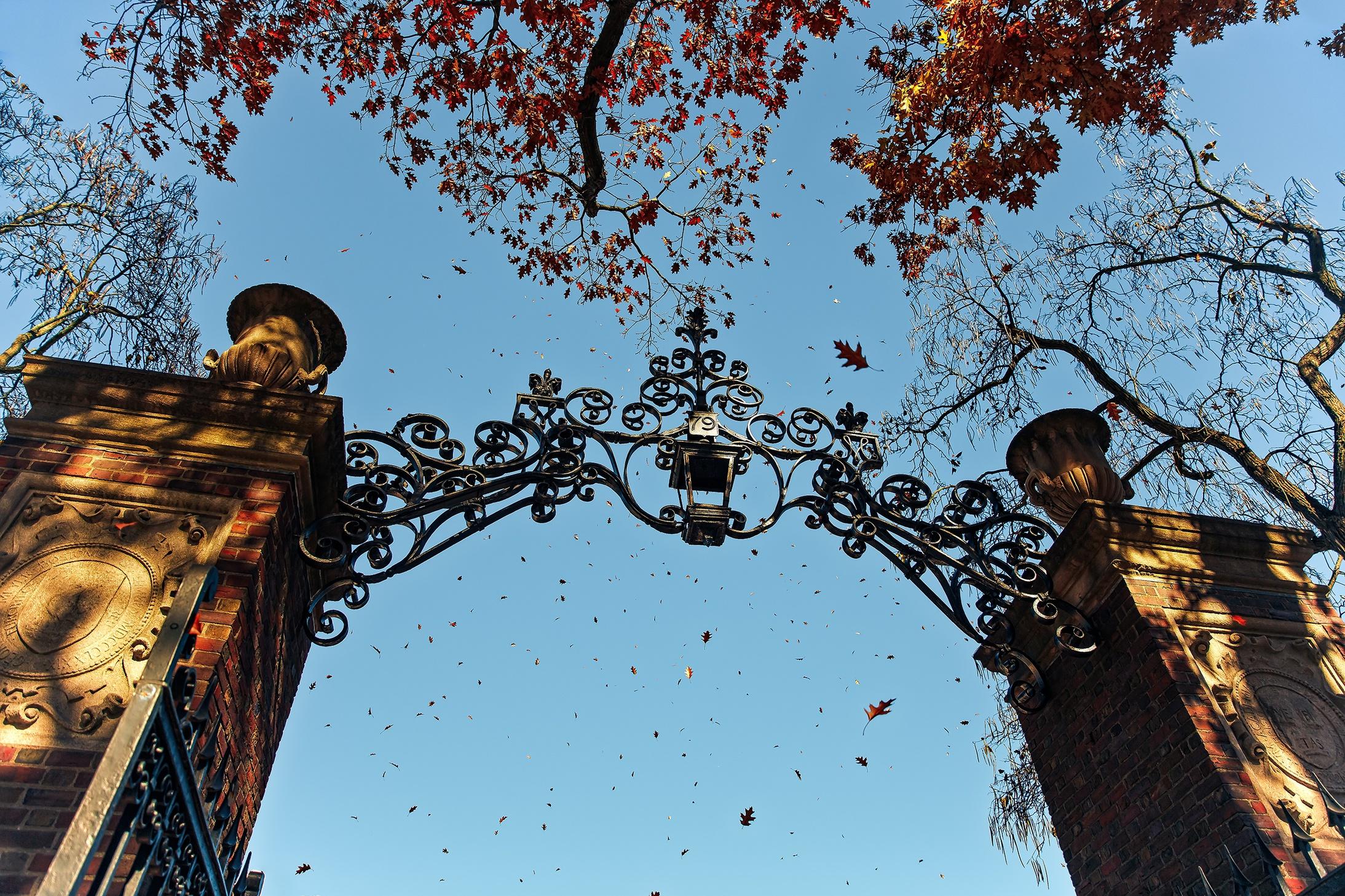How College Admissions Have Changed During Covid - Vimarsana News