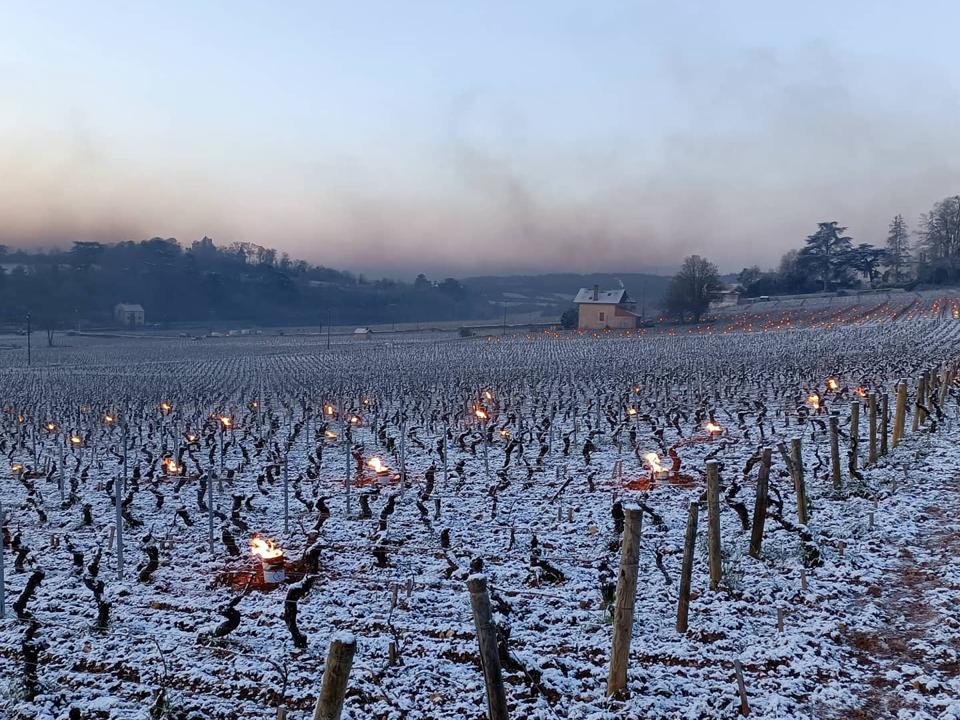 ‘Too Early To Have A Precise View’: French Winemakers Deal With Harsh Spring Frost 7 French vineyard with snow and candels