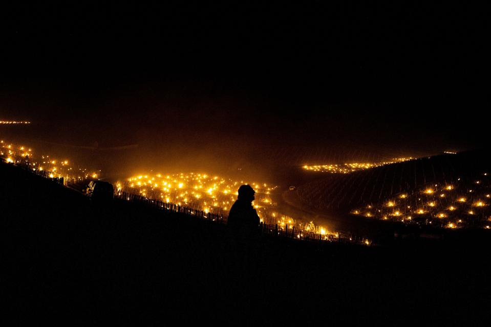FRANCE-AGRICULTURE-WEATHER-VINEYARD