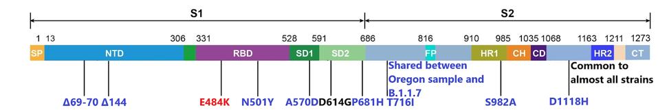 B.1.1.7-O spike mutations