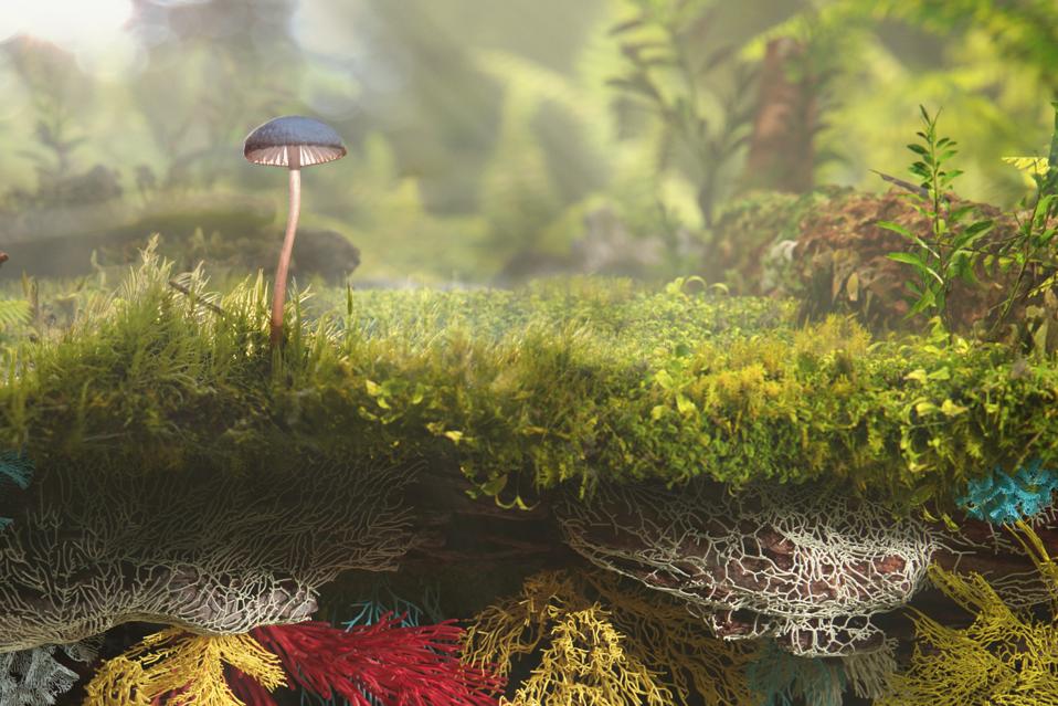 A mushroom grows on bright green grass with bright mushroom roots underground.