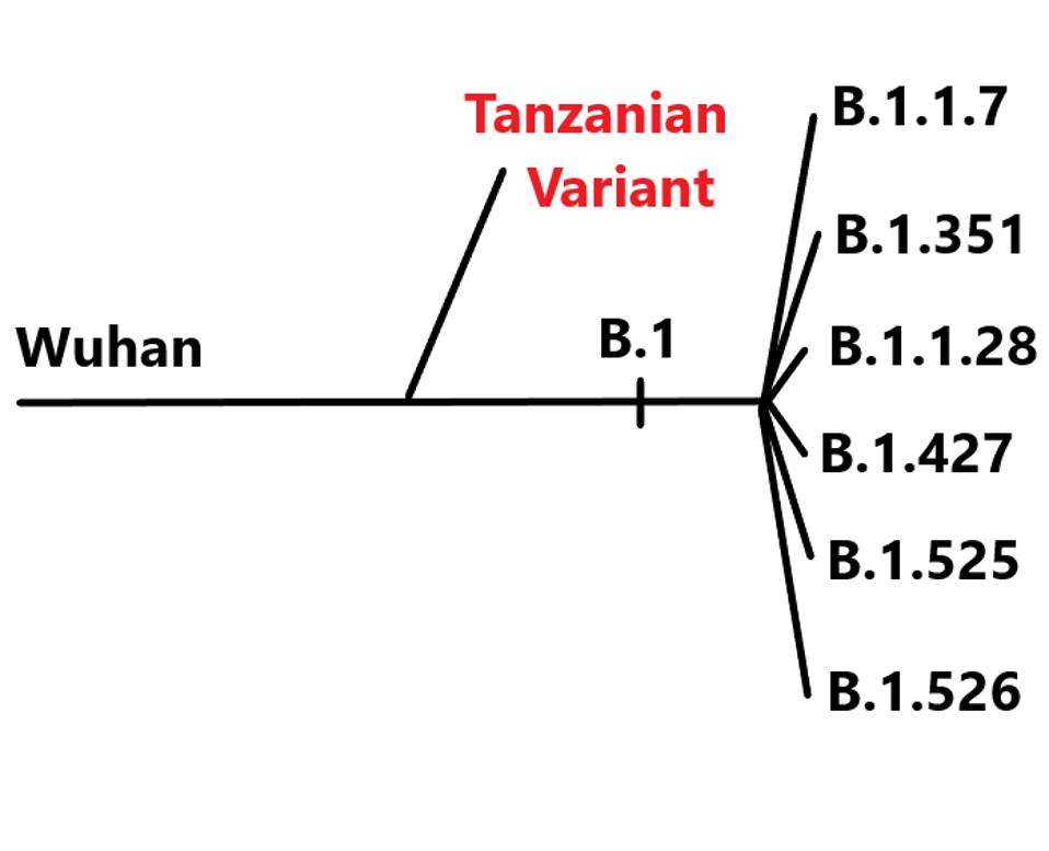 Tanzanian Variant lineage is reference to other variants