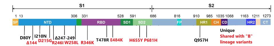 FIGURE 2 SPIKE MUTATIONS