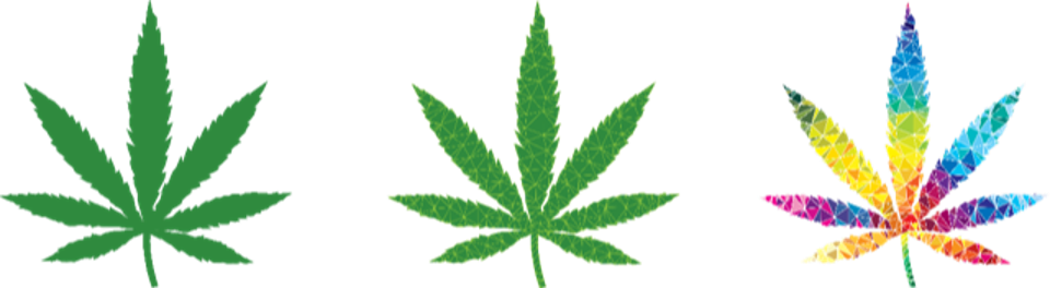 Three marijuana leaves, one with rainbow colors