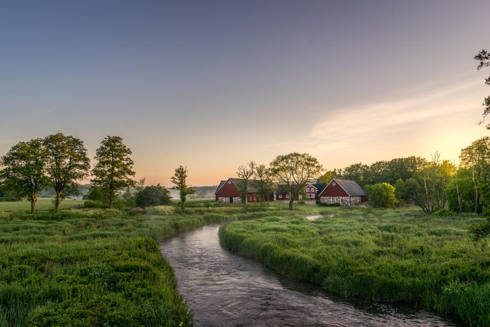 Skåne, where Tegman comes from and where Sproud is based, is the garden of Sweden. Soon Tegman hopes to grow peas for Sproud's Swedish products there