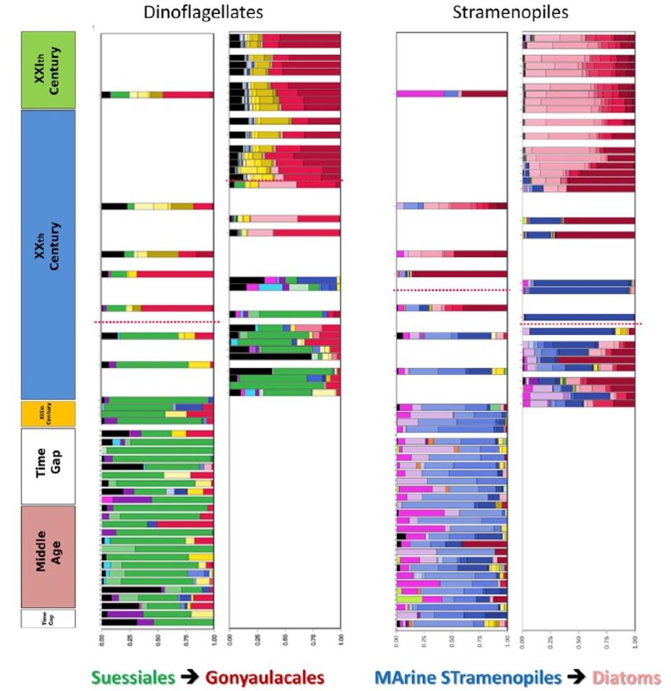 Relative abundance of marine microorganisms in the studied cores.
