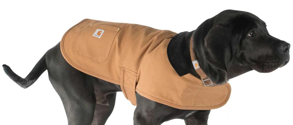 Carthartt Chore Coat for dogs