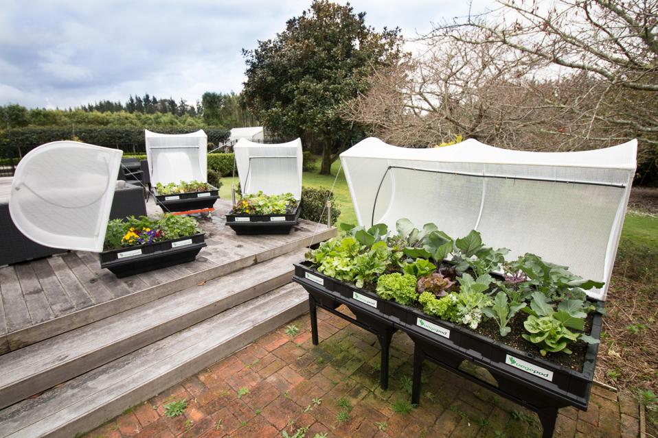 Les lits surélevés de Vegepod sont représentés sur des supports et avec des auvents ouverts.