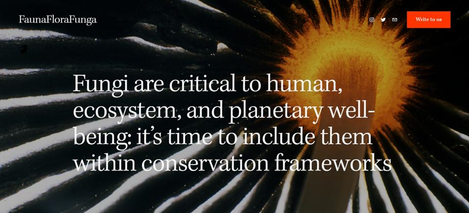 FaunaFloraFunga.org homepage