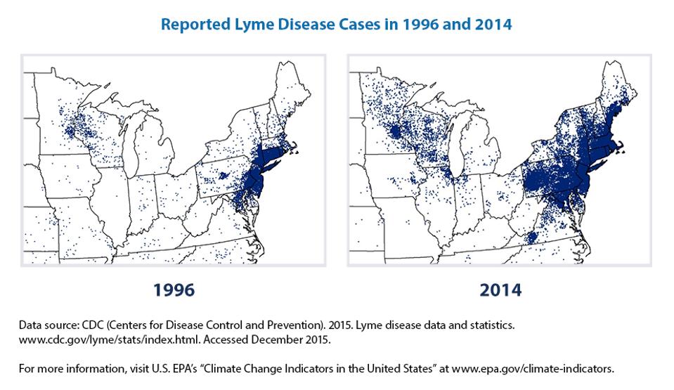 Why Is Lyme Disease Increasing In North America?