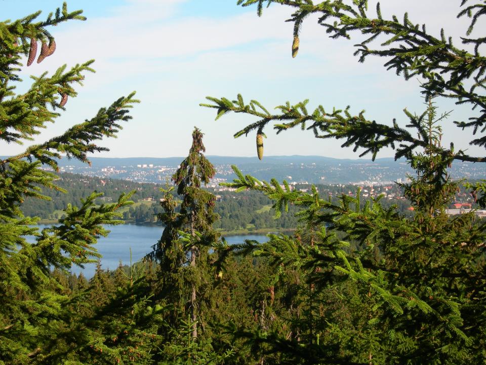 Part of Oslomarka, the city forest surrounding Oslo, Norway.