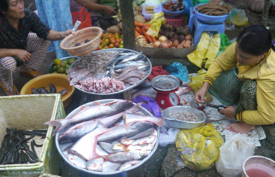 Women selling various types of fish in a market