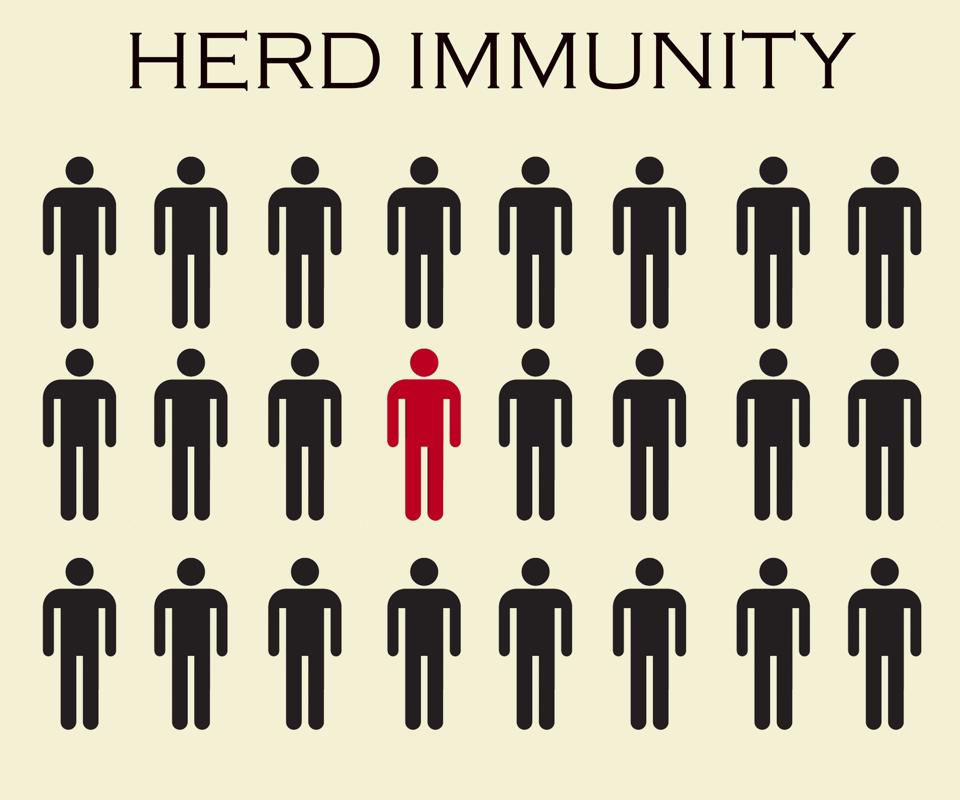 Group of people with Herd immunity. Concept of herd immunity. Virus spread. Immunized population with one infected people. Virus spreading in society