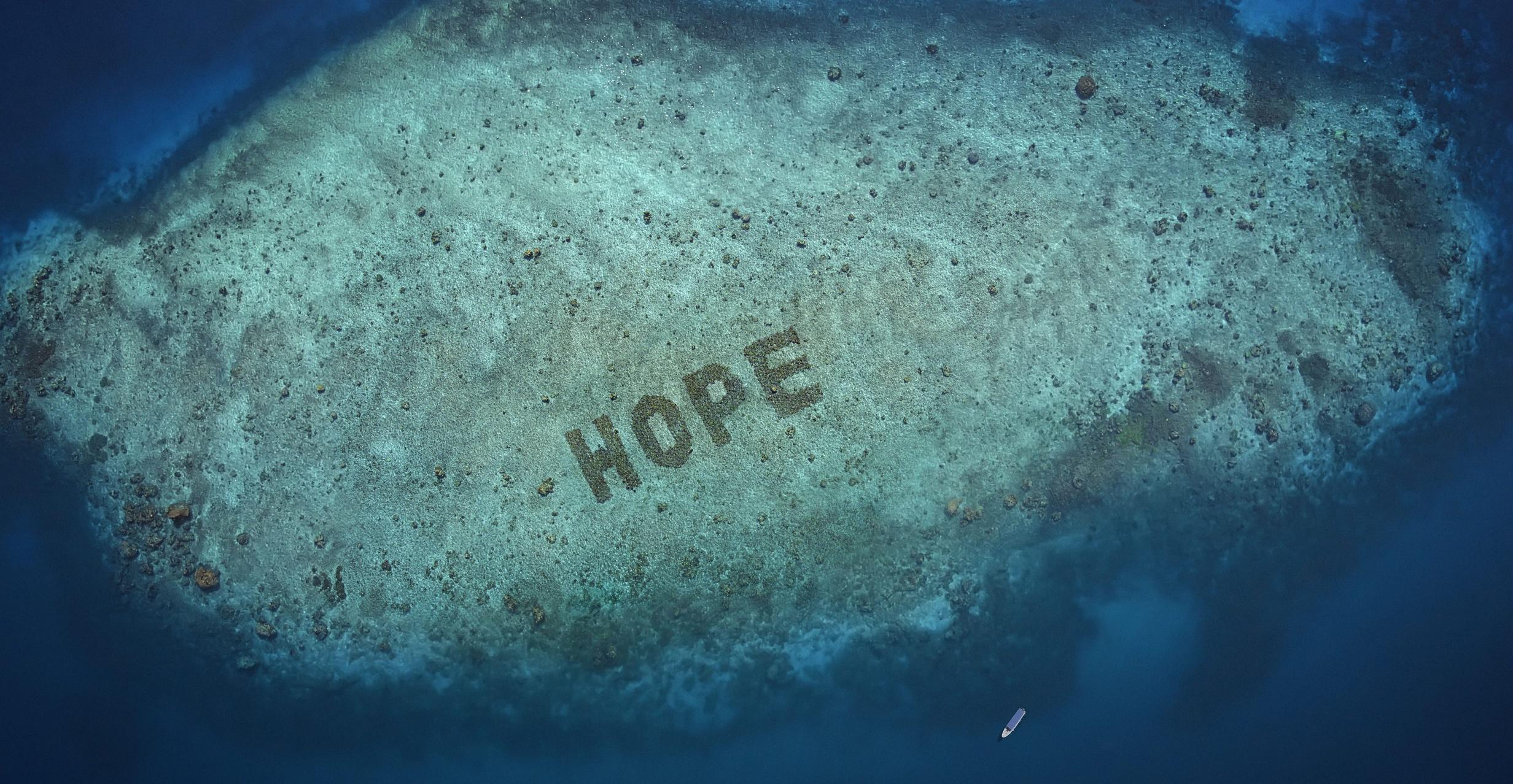 The SHEBA Hope Reef Brings Hope To Coral Reefs Everywhere—You Can Help Too - Vimarsana News