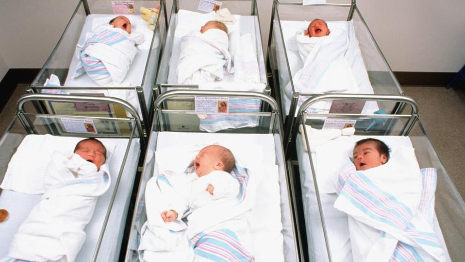 Babies in a hospital nursery