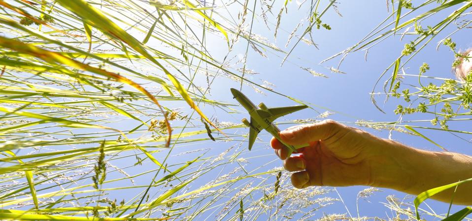 Blooming Meadow with Airplane model in Spring