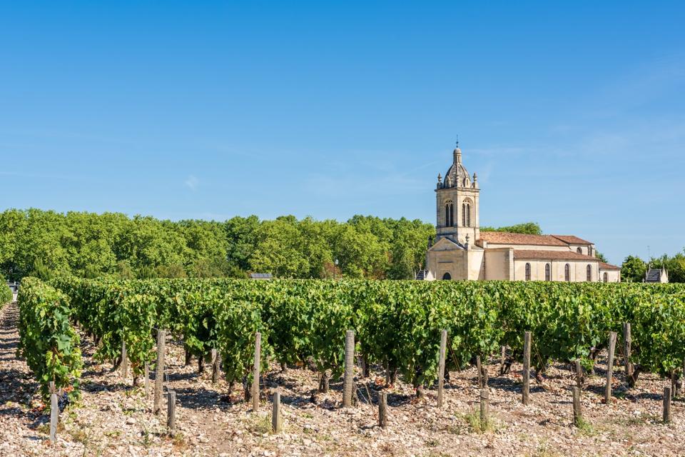 Vineyard and church of Margaux, in the Medoc area, near Bordeaux (France)