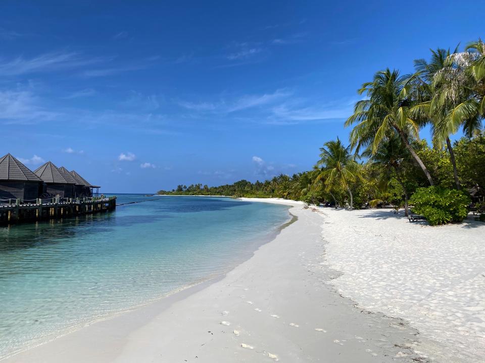 A powder-white beach backed by palm trees in the Maldives.